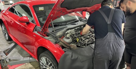 Ендоскопія двигуна