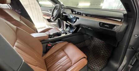 Трьохфазна мийка Audi E-Tron 2020