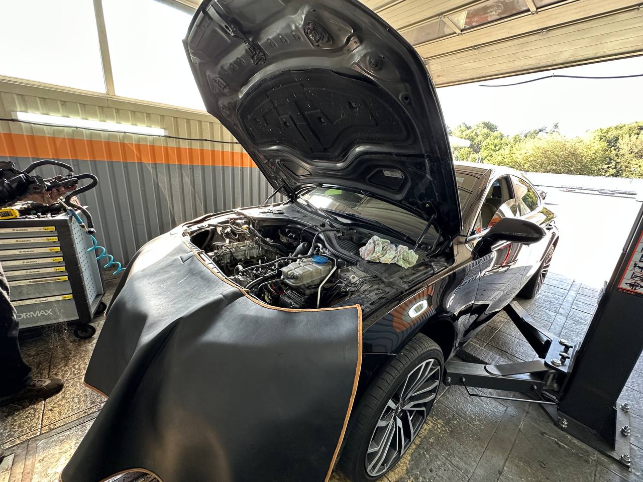 Чому ВКГ їсть оливу?