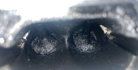 Чистка впускних клапанів горіховою шкаралупою Volkswagen Tiguan 2.0 TSI